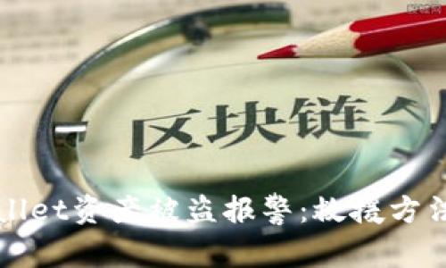 TPWallet资产被盗报警:救援方法详解