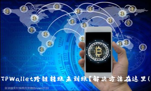 TPWallet跨链转账未到账?解决方法在这里!