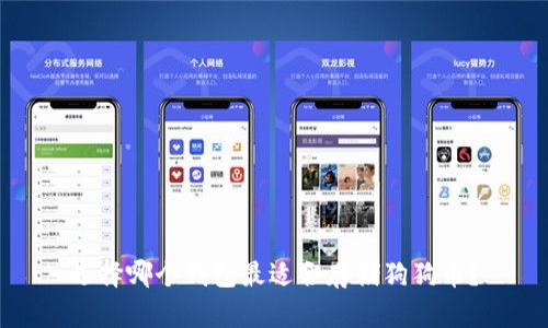 选择哪个钱包最适合存储狗狗币?