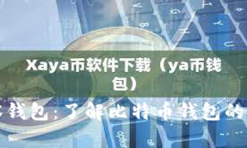 比特币观察钱包:了解比特币钱包的一种新方案