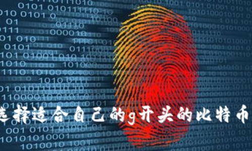 如何选择适合自己的g开头的比特币钱包?