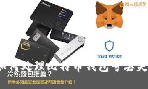 如何处理比特币钱包号丢失?