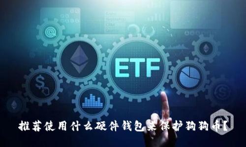 推荐使用什么硬件钱包来保护狗狗币?