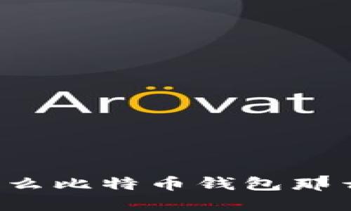 为什么比特币钱包那么大?