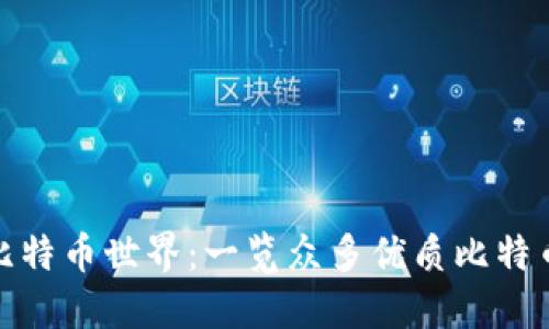 探索比特币世界:一览众多优质比特币钱包