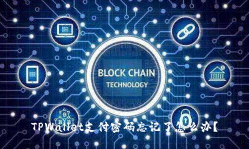 TPWallet支付密码忘记了怎么办?