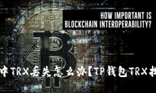 TP钱包中TRX丢失怎么办?TP钱包TRX找回教程