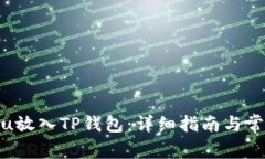 如何将Kishu放入TP钱包：详细指南与常