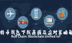 比特币钱包下线原因及应对策略解析