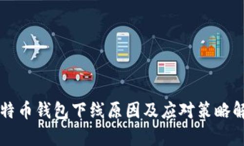 比特币钱包下线原因及应对策略解析