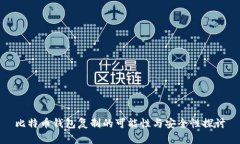 比特币钱包复制的可能性与安全性探讨