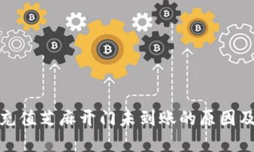 : TP钱包充值芝麻开门未到账的原因及解决方案