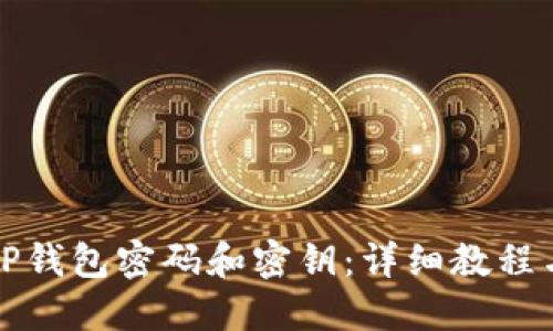 如何找回TP钱包密码和密钥:详细教程与解决方案