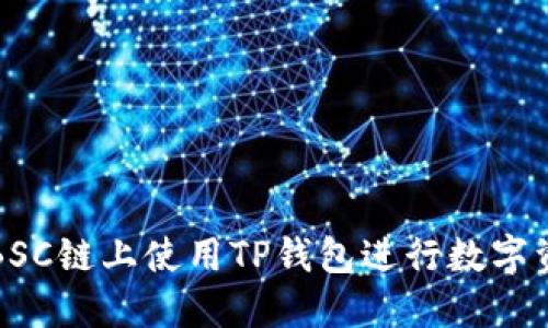 如何在BSC链上使用TP钱包进行数字资产管理