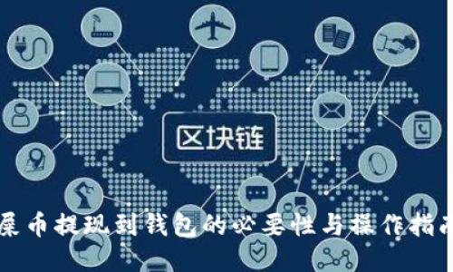 屎币提现到钱包的必要性与操作指南