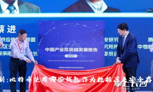 深入解析:比特币使用哪些钱包作为数据库来安全存储资产?