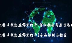 比特币钱包在哪里打开：详细指南与最