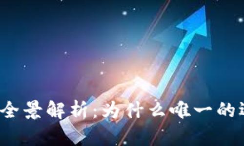 TP钱包市场的DeFi项目全景解析:为什么唯一的选择就是去中心化金融?