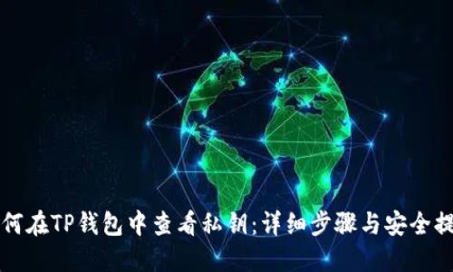 如何在TP钱包中查看私钥:详细步骤与安全提示