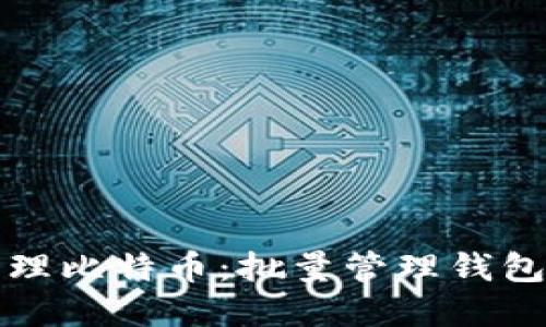 如何高效管理比特币:批量管理钱包的最佳实践