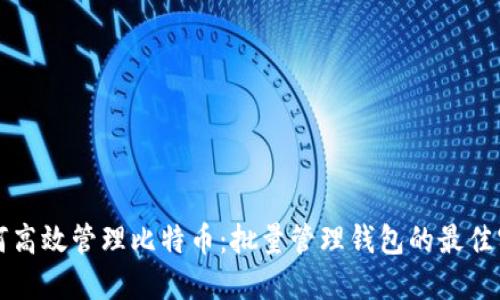 如何高效管理比特币:批量管理钱包的最佳实践