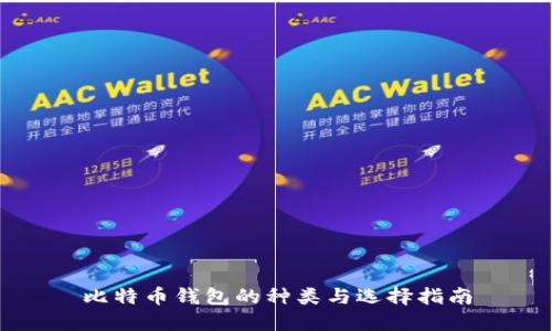 比特币钱包的种类与选择指南