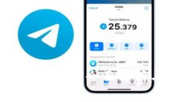 IM Token钱包审核：全面解析与使用指南