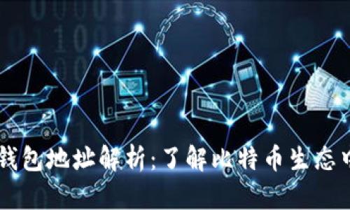 著名比特币钱包地址解析:了解比特币生态中的重要角色