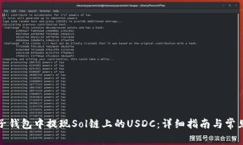 如何在麦子钱包中提现Sol链上的USDC:详细指南与常见问题解答