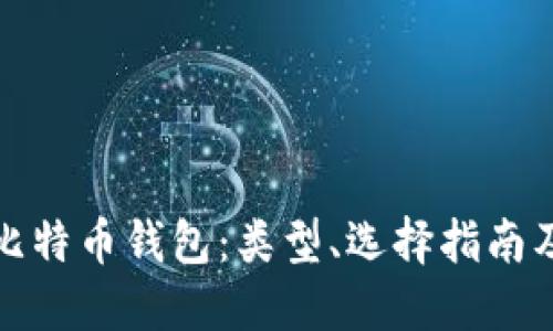 全面解读比特币钱包:类型、选择指南及安全建议