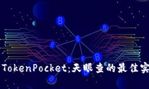 深入解析TokenPocket:天眼查的最佳实践与应用