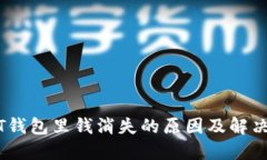 USDT钱包里钱消失的原因及解决方法