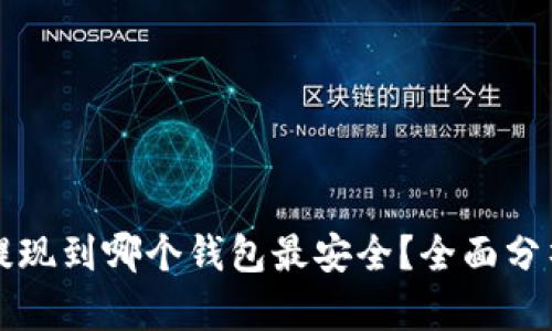 比特币提现到哪个钱包最安全?全面分析与推荐