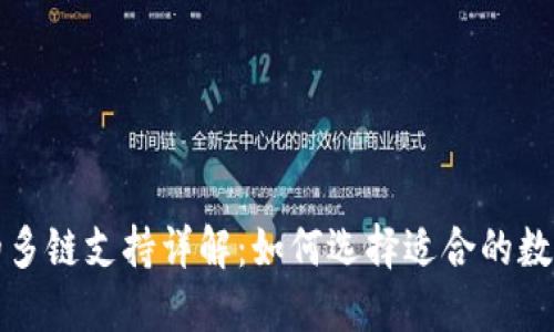 比特币钱包中的多链支持详解:如何选择适合的数字资产管理方案