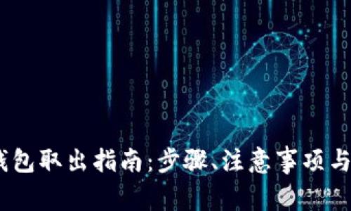 USDT冷钱包取出指南:步骤、注意事项与安全对策
