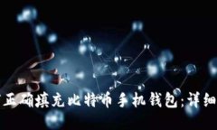如何正确填充比特币手机钱包：详细指