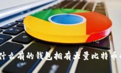 biasoti为什么有的钱包拥有大量比特币