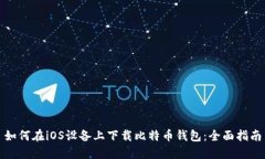 如何在iOS设备上下载比特币钱包：全面