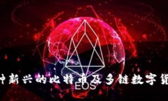 IM钱包：一种新兴的比特币及多链数字