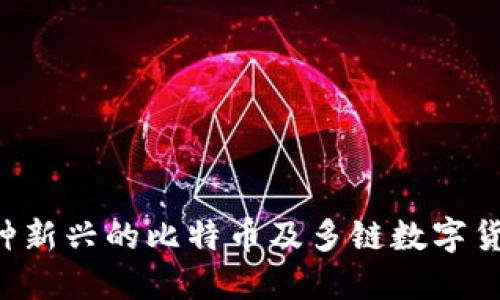 IM钱包:一种新兴的比特币及多链数字货币钱包介绍