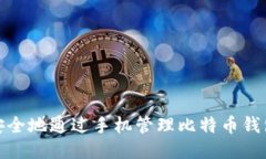 如何安全地通过手机管理比特币钱包地