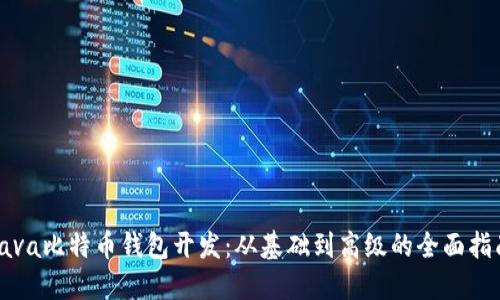 Java比特币钱包开发:从基础到高级的全面指南
