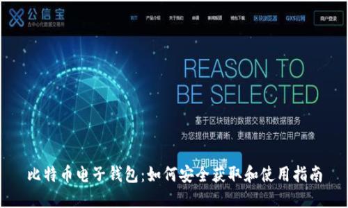 比特币电子钱包:如何安全获取和使用指南