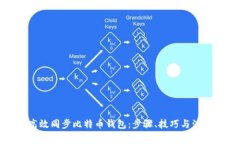 如何高效同步比特币钱包：步骤、技巧