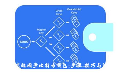 如何高效同步比特币钱包:步骤、技巧与注意事项