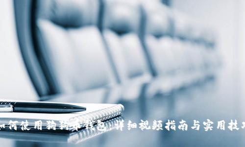如何使用狗狗币钱包:详细视频指南与实用技巧