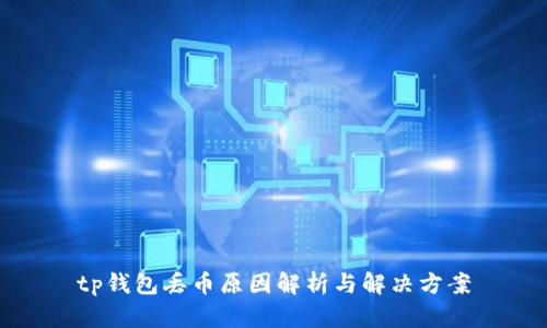 tp钱包丢币原因解析与解决方案