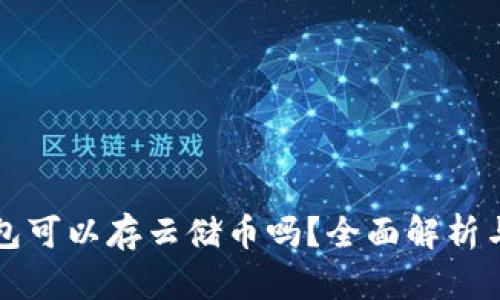 比特币钱包可以存云储币吗?全面解析与实用指南