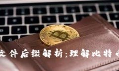 比特币钱包文件后缀解析：理解比特币