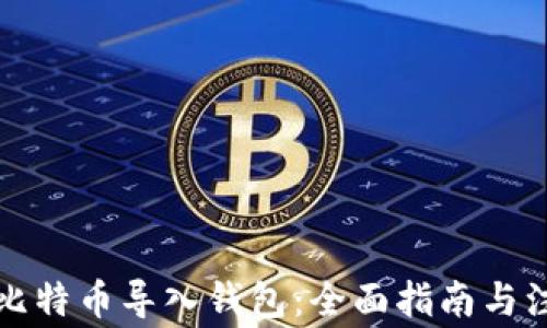 如何将比特币导入钱包:全面指南与注意事项